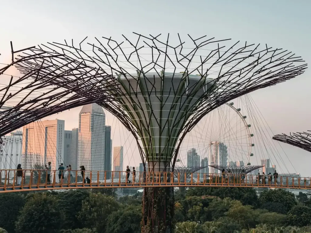 Gardens by The Bay from the top Singapore