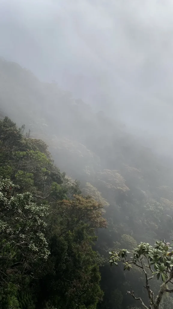 At world's end, Hortons Plain National Park Sri Lanka