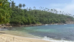 The Secret Beach at Mirissa, Sri Lanka