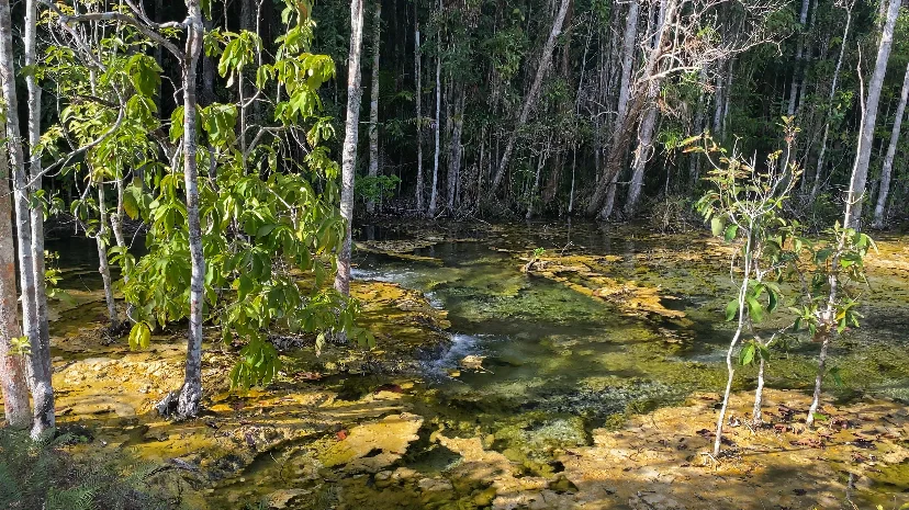 The entrance of Emerald Pool