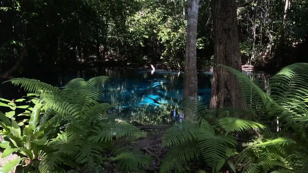 The Blue Pool
